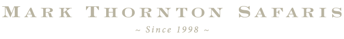 Mark Thornton Safaris logo